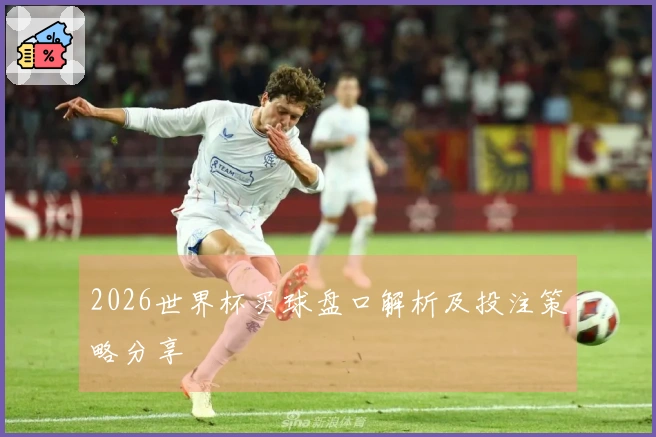 2026世界杯买球盘口解析及投注策略分享