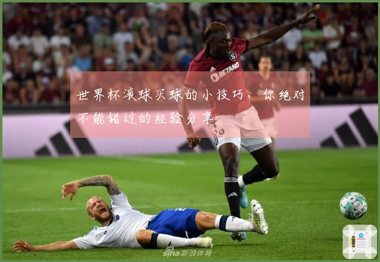 世界杯滚球买球的小技巧，你绝对不能错过的经验分享