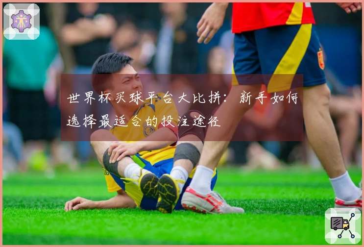 世界杯买球平台大比拼：新手如何选择最适合的投注途径