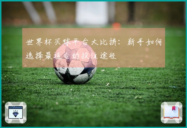 世界杯买球平台大比拼：新手如何选择最适合的投注途径