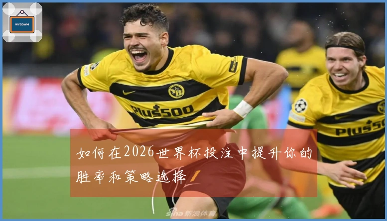 如何在2026世界杯投注中提升你的胜率和策略选择